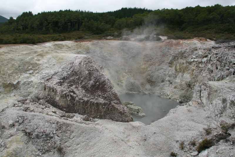 Nieuw-Zeeland 2011 - 0790